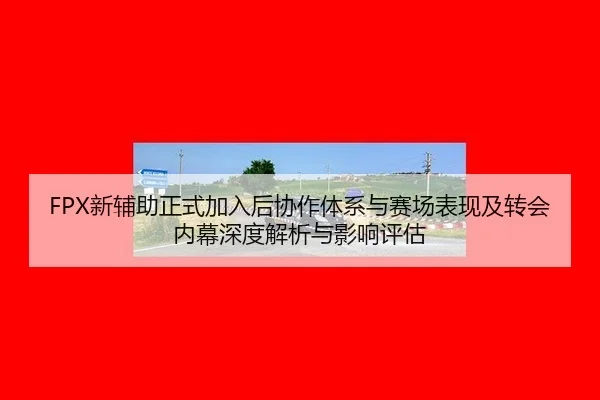 FPX新辅助正式加入后协作体系与赛场表现及转会内幕深度解析与影响评估
